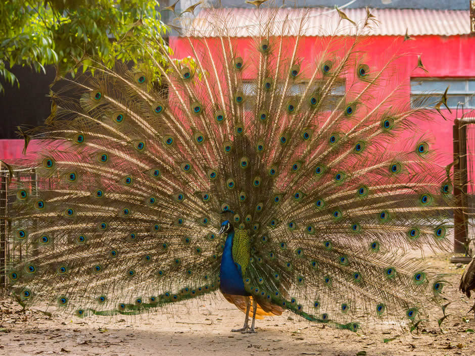 Ecoturismo - Imagen: Turismoentrerios.com