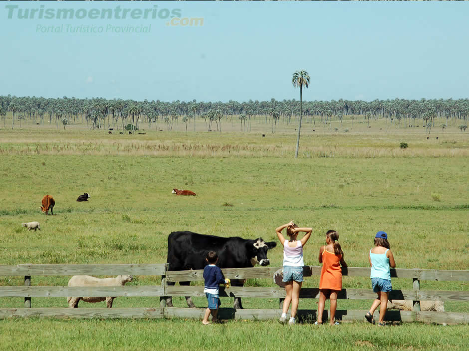 Info General - Imagen: Turismoentrerios.com