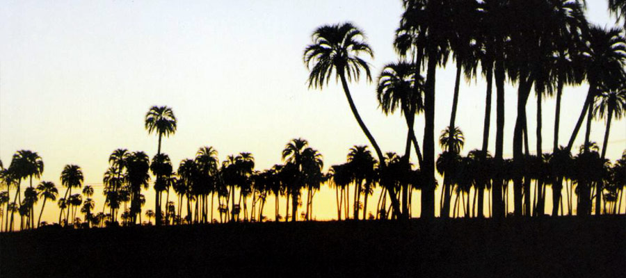 Parque Nacional El Palmar, Entre Ros