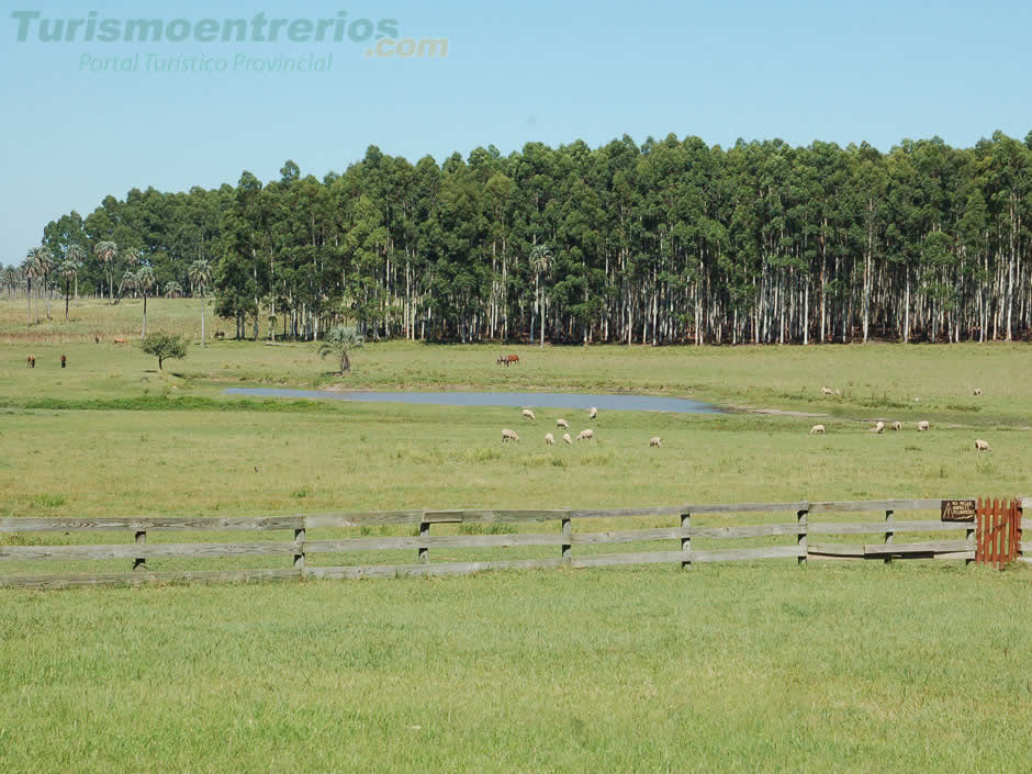 Naturaleza y Descanso - Imagen: Turismoentrerios.com