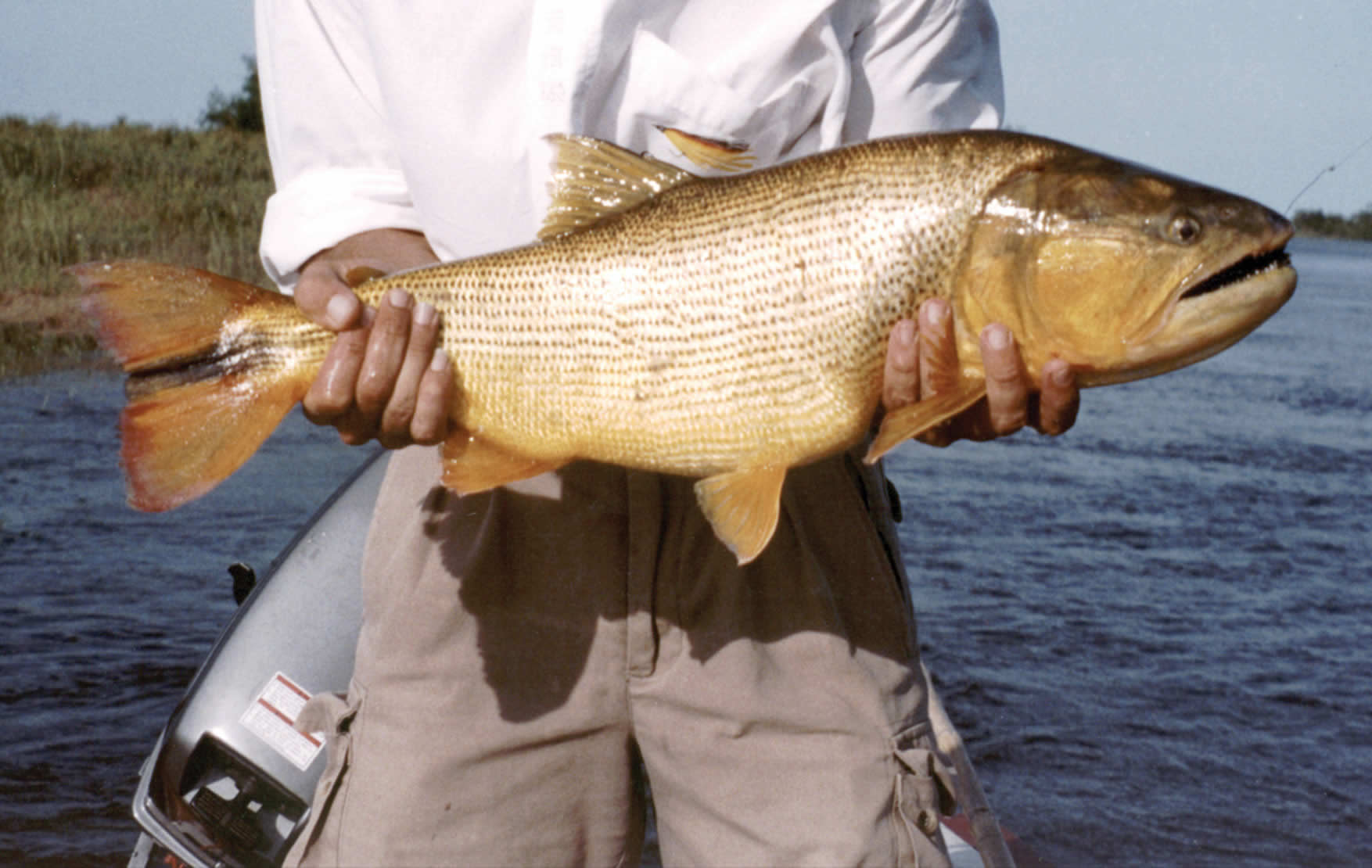 Pesca del Dorado - Imagen: Turismoentrerios.com