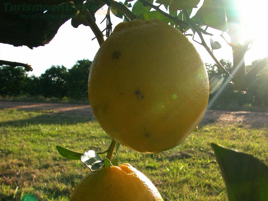 Sabores Entrerrianos - Imagen: Turismoentrerios.com