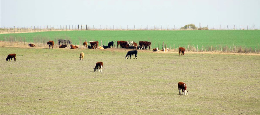 Turismo Rural en Victoria Entre Ros