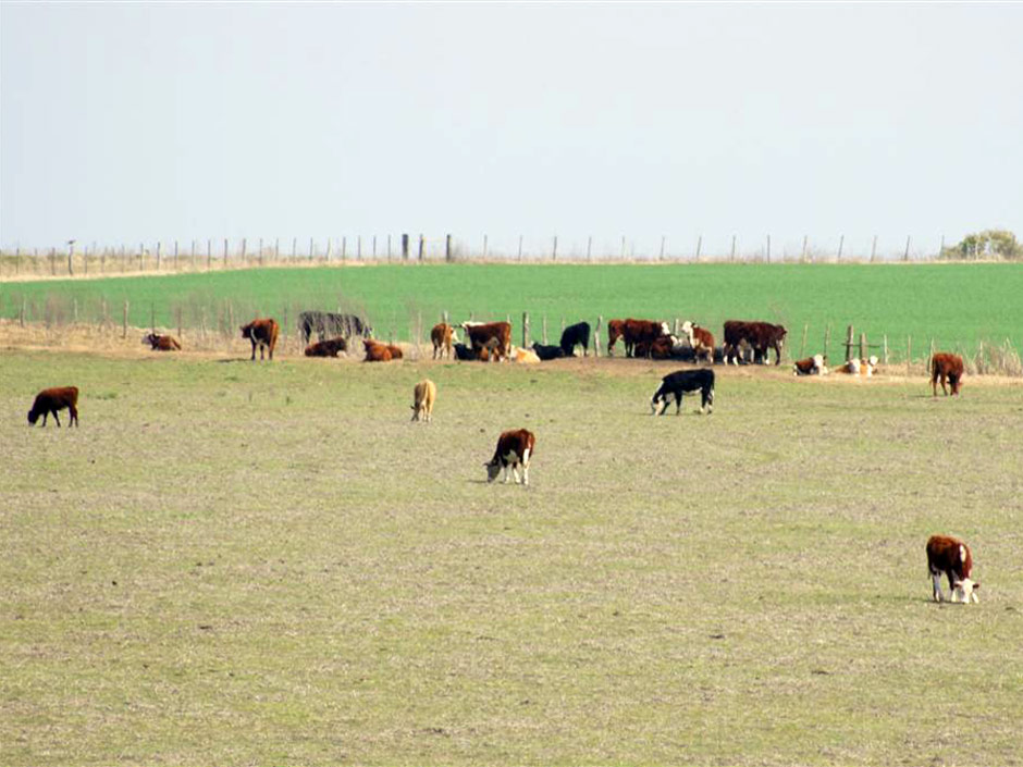 Turismo Rural - Imagen: Turismoentrerios.com