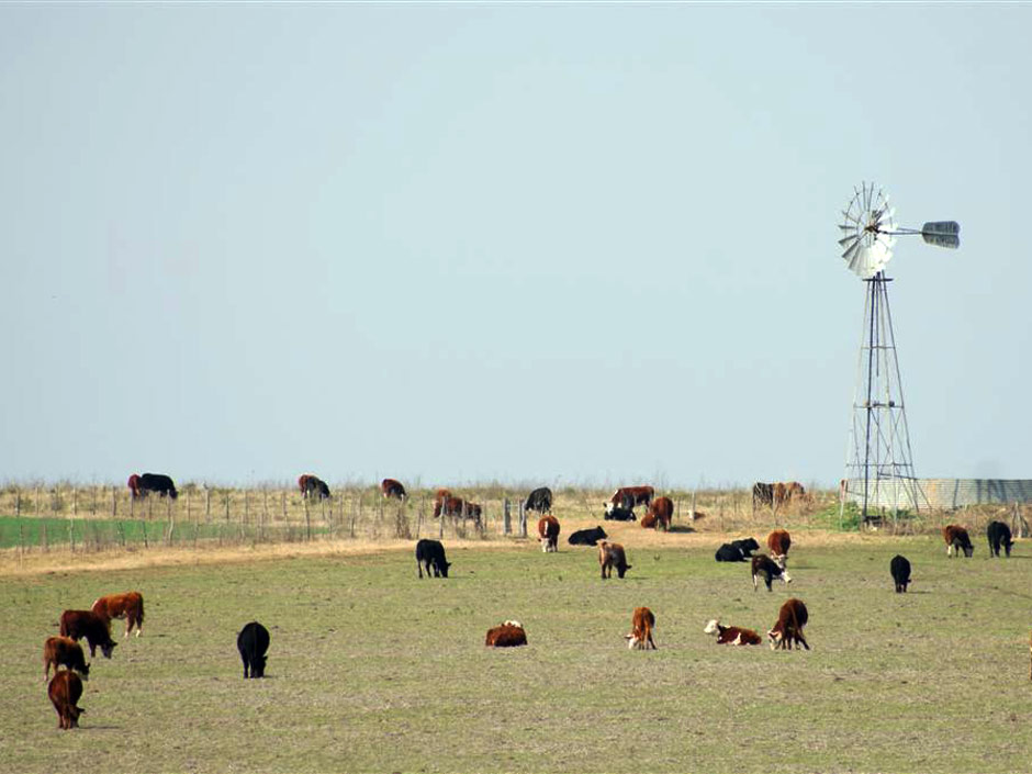 Turismo Rural - Imagen: Turismoentrerios.com