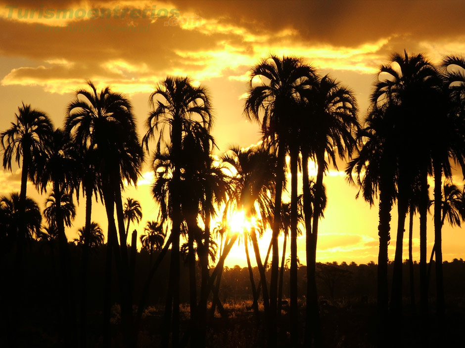 Parque Nacional El Palmar - Imagen: Turismoentrerios.com