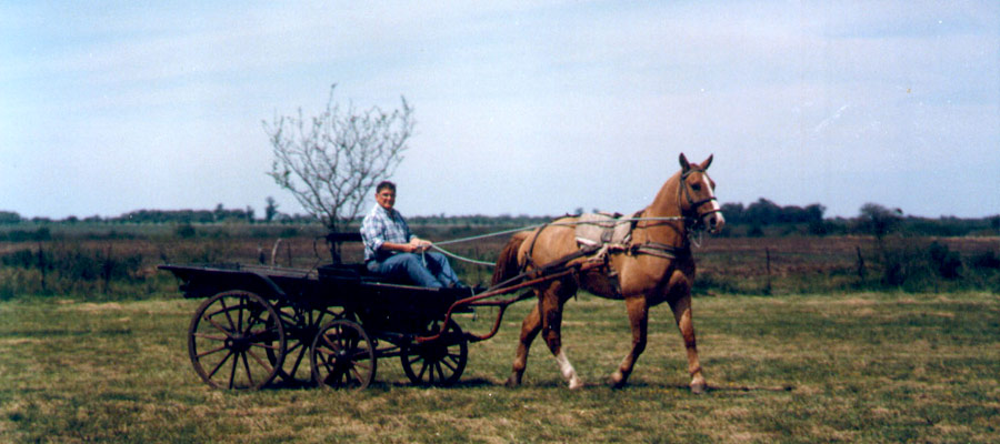 Turismo Rural Villaguay Entre Ros